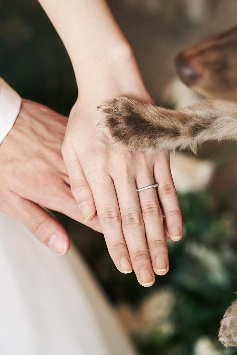 Point1 多彩な撮影シーン