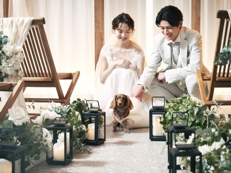 Point1 多彩な撮影シーン