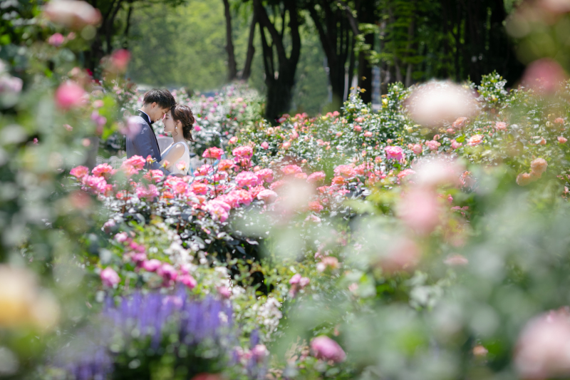 季節に合わせた撮影も