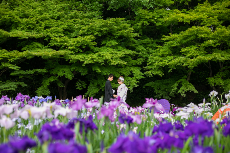 季節のお花と一緒に