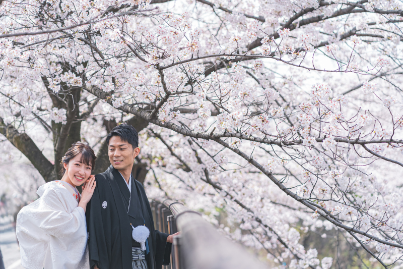 満開の桜とともに