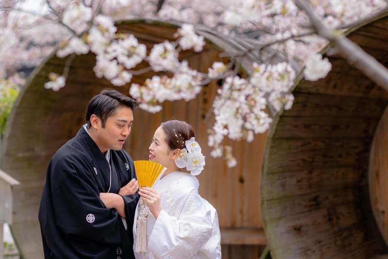 満開の桜と酒蔵で