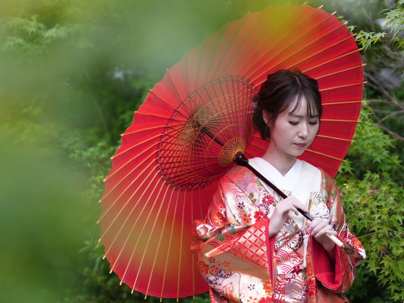 緑に映える赤が美しい