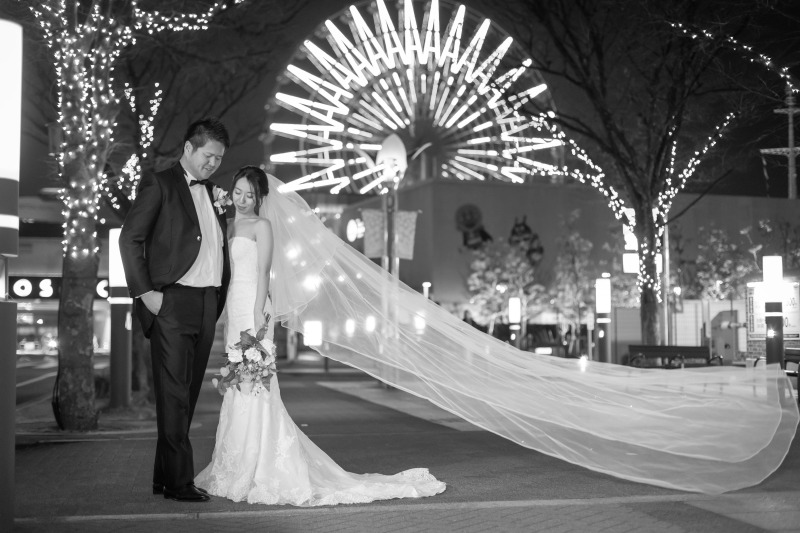 時が止まる美しさと