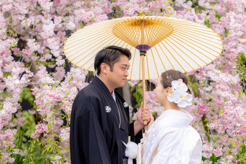 満開の桜に彩られて