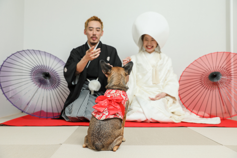 おやおや乱入者が、、、
