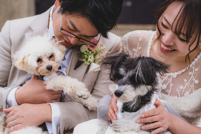 ペットも可愛くおめかし✳︎