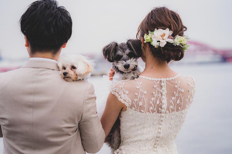 Marry Grace /マリーグレース_ペットと一緒に撮影できる