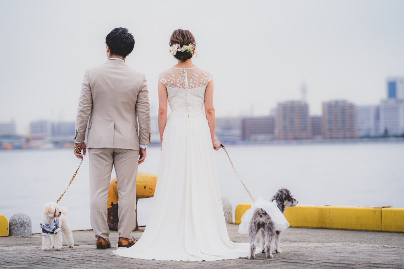 Marry Grace /マリーグレース_ペットと一緒に撮影できる