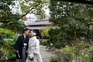 Marry Grace /マリーグレース