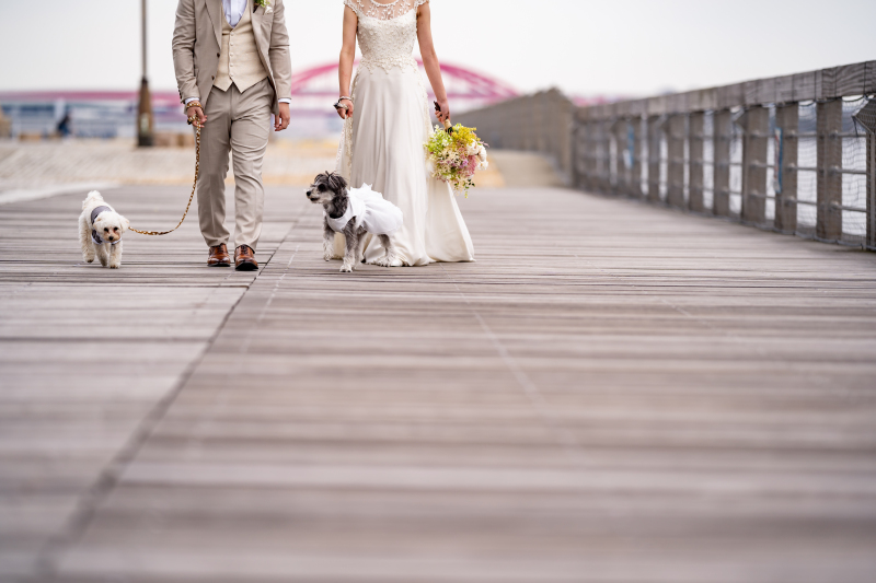 Marry Grace /マリーグレース_ペットと一緒に撮影できる