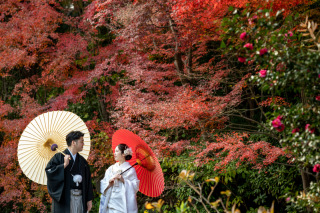 綿帽子から綿帽子無しへのチェンジ