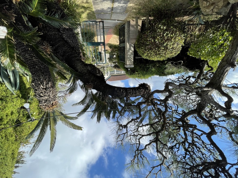 Marry Grace /マリーグレース_人気スポットで撮影できる