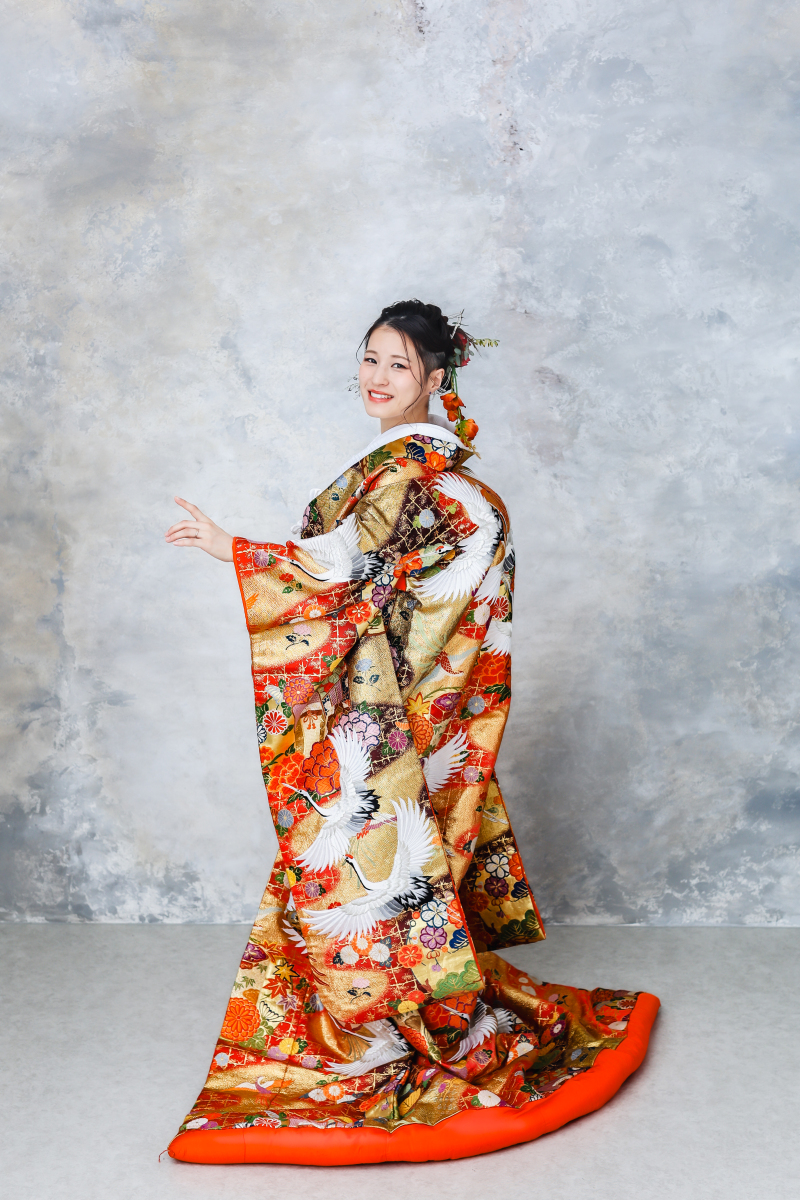 UC-204 天慶奉寿菊