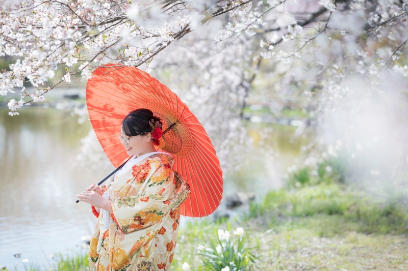 桜に和傘の相性がいい