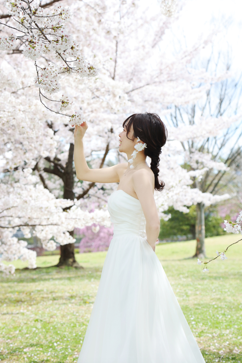 ウェディングドレスと桜
