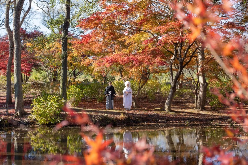 池辺にて、語り合う二人静