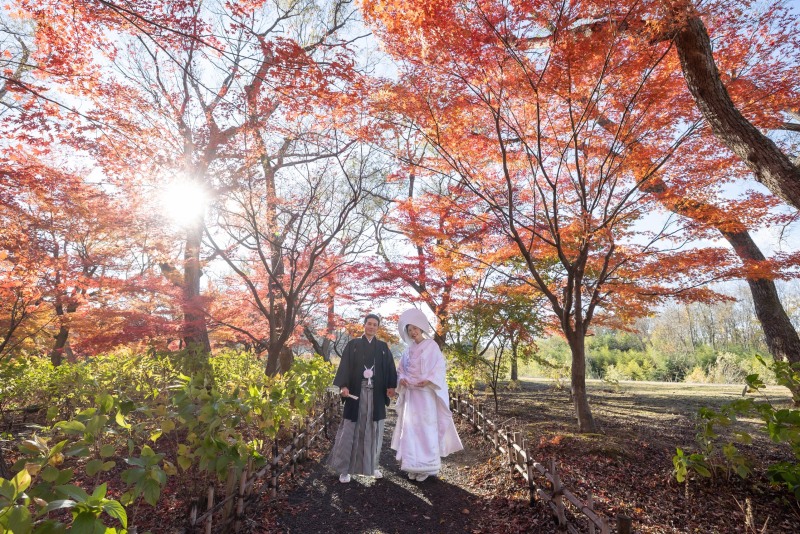 木漏れ日の祝福に包まれて