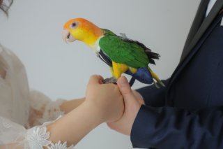 いんこちゃんと一緒♡