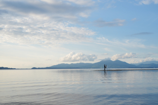 ひまわりと湖畔