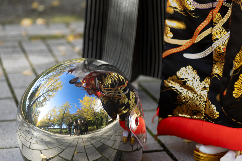 遊び心満点!ミラーシールドの世界