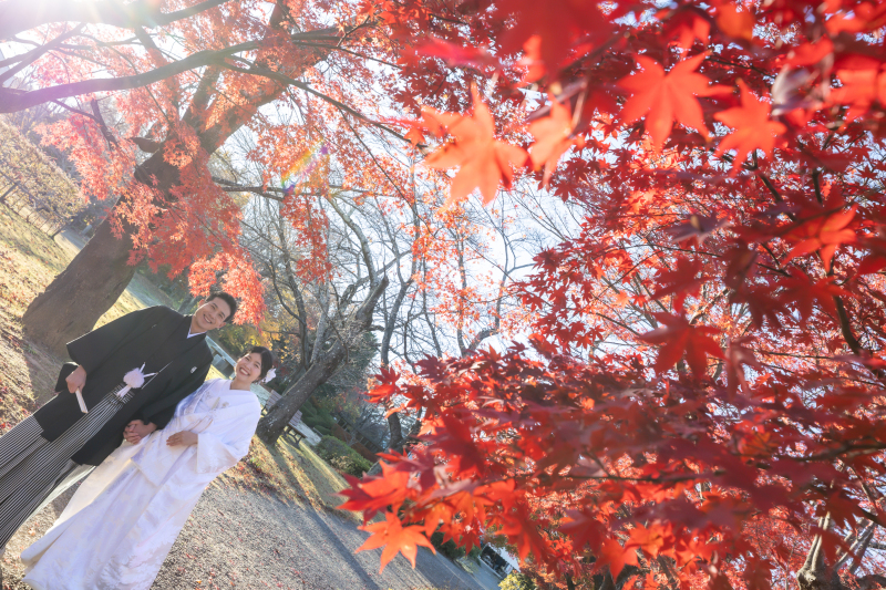 色打掛風に、鮮やかな秋色の中で