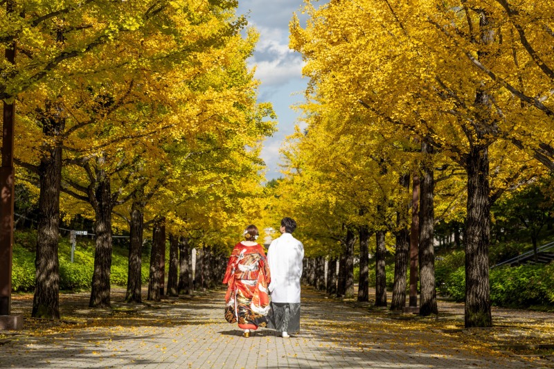 黄金色に包まれる秋の特等席