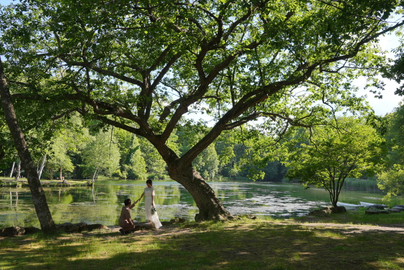森と湖のある公園