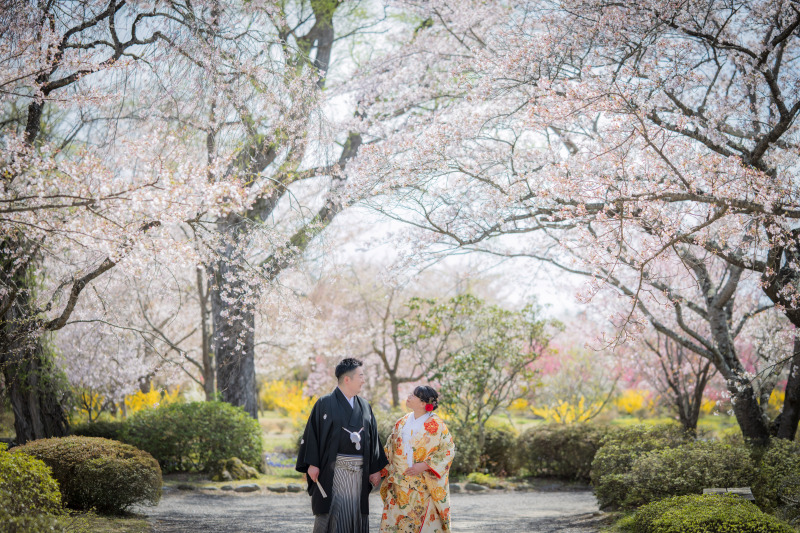 桜の中をお二人で