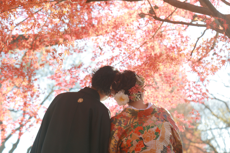 12月の紅葉ロケーション撮影