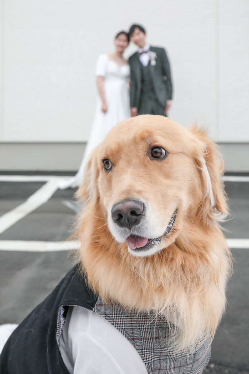 主役はぼく？うしろはふたり