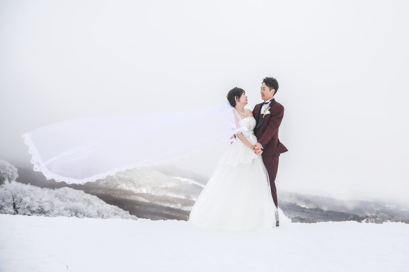 雪原とウェディングドレス