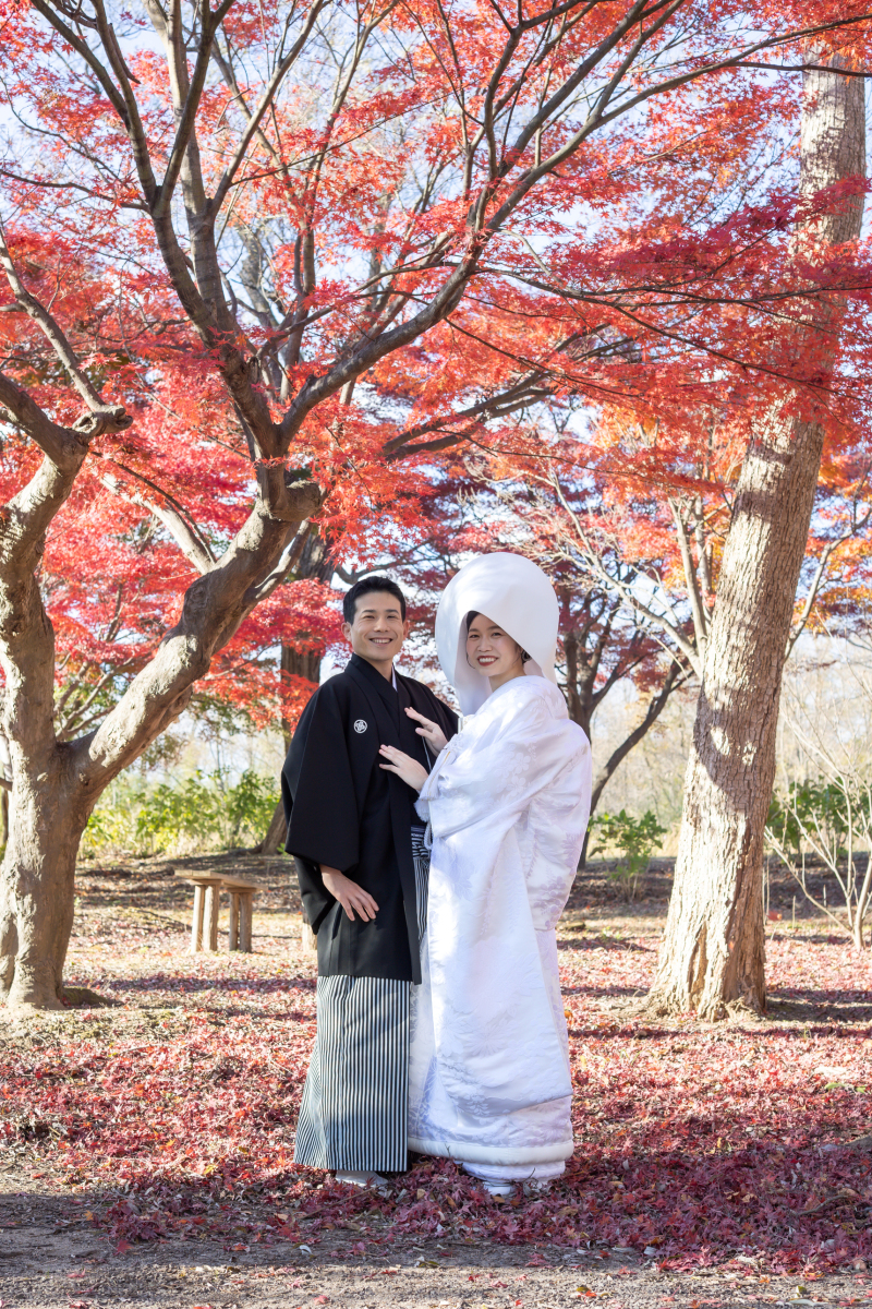 季節の祝福、紅葉に包まれて