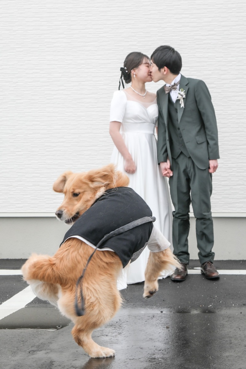 祝福のジャンプ！