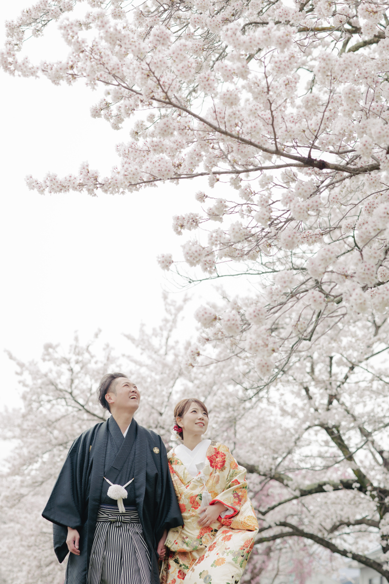 満開の桜の中をお散歩