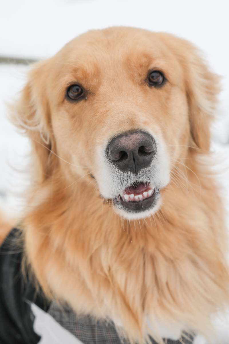 お外に移動した理由は