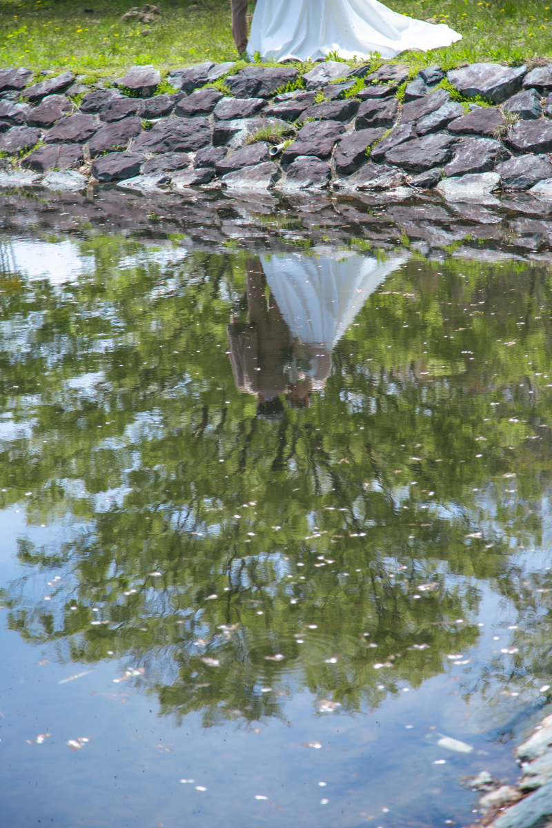 水面に映る幸せ