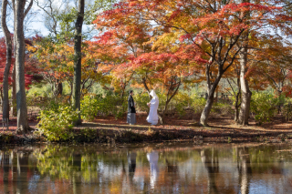和装ロケーション　紅葉