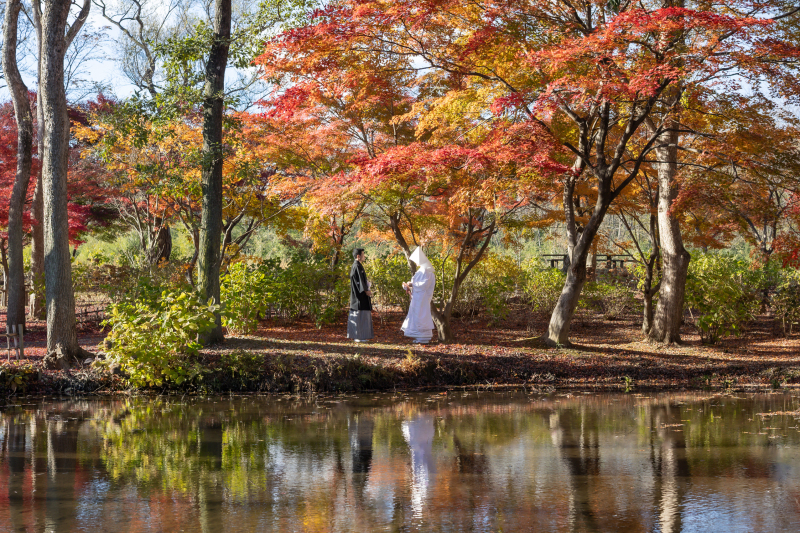 和装ロケーション 紅葉