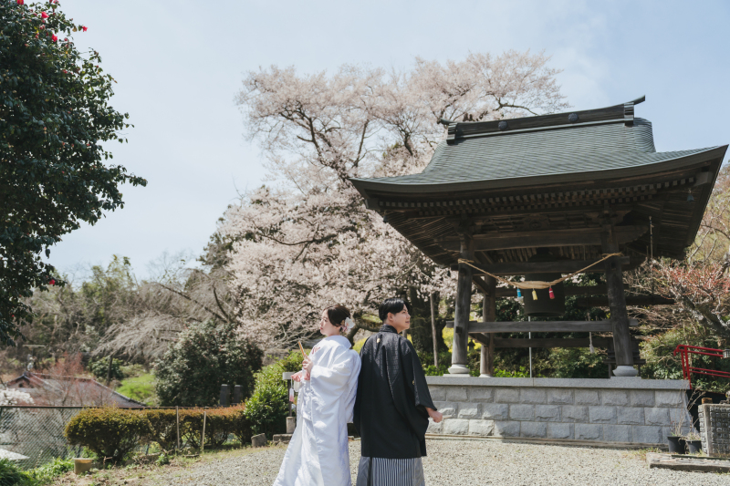 桜咲くお寺で