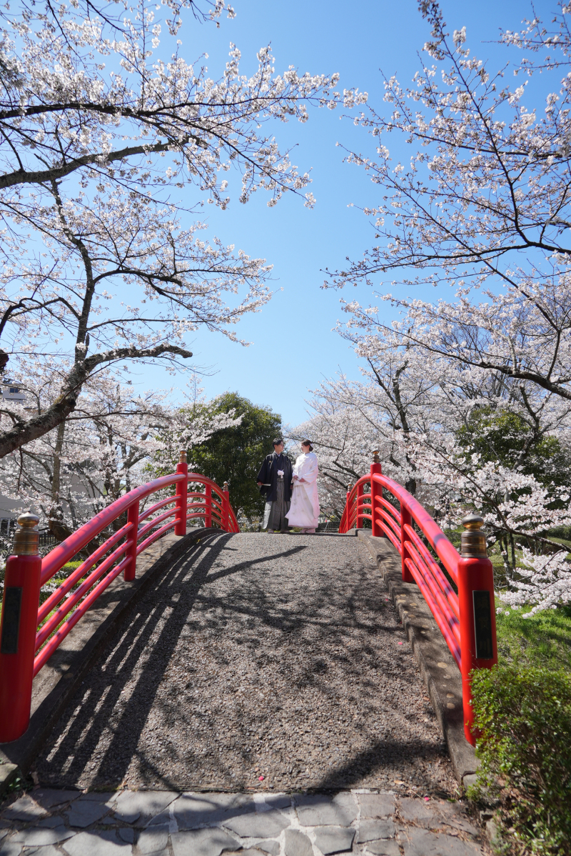 晴天の中撮影ができました