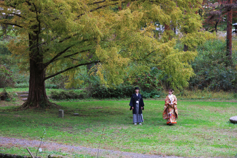 自然ゆたかな公園
