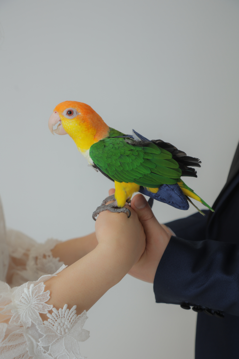 手つなぎショットは