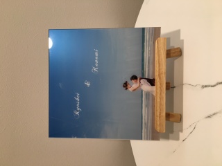 両面アクリル(16ページ/24カット)