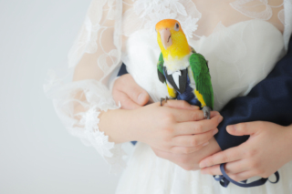 ペットと一緒に撮影(スタジオ)