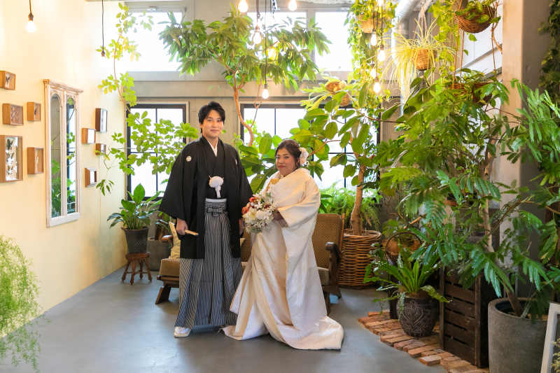 グリーン背景でフォーマルに