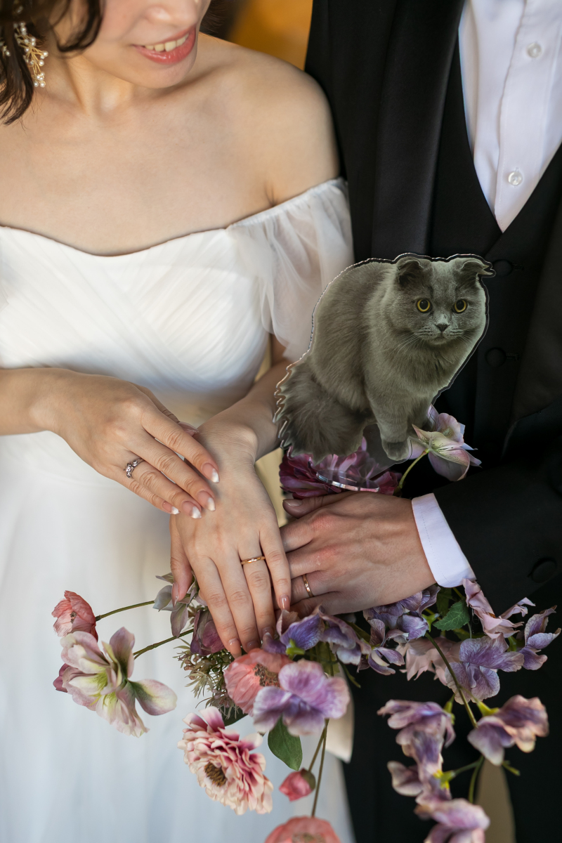 愛猫ちゃんと指輪