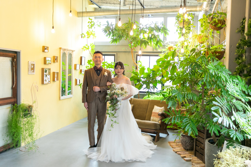 グリーンの背景で。