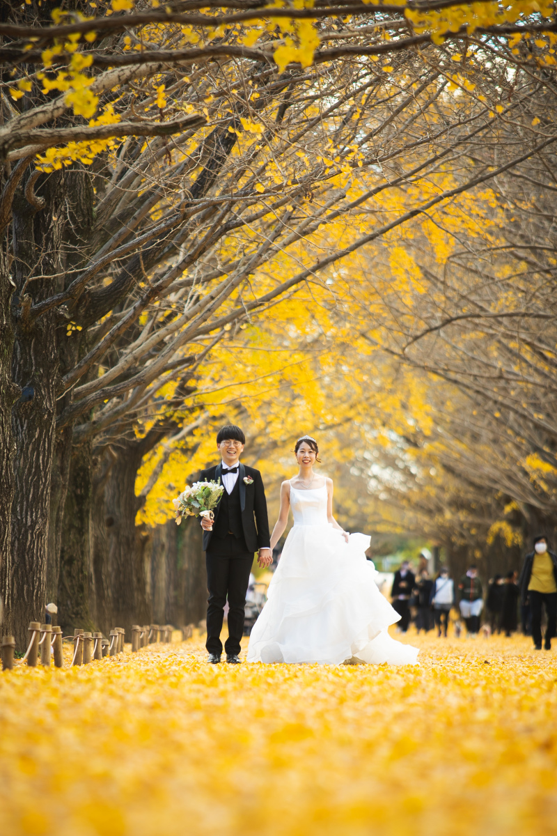 黄金のロケーションの中で