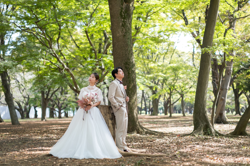 大きな切り株にもたれて